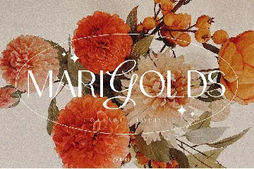 Drakors elegant font