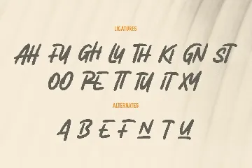 Arghfunks Fandwritten Display Font