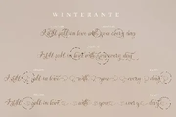 Winterante - Christmas Script Font