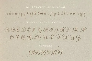 Winterante - Christmas Script Font