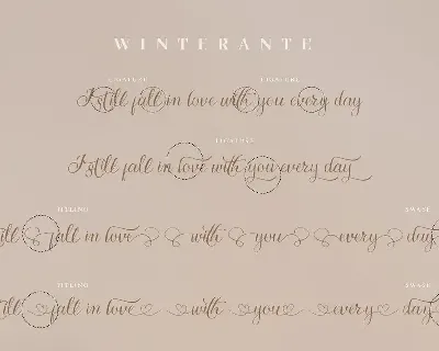 Winterante - Christmas Script Font