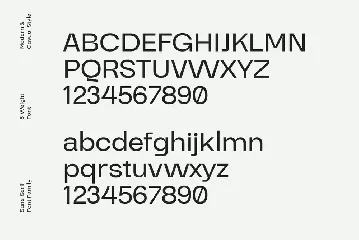 Stara Sans Serif Font