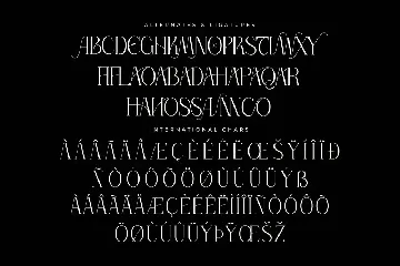 Thorco New Display Serif Font