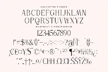 Thorco New Display Serif Font