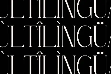 Thorco New Display Serif Font