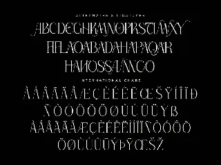 Thorco New Display Serif Font