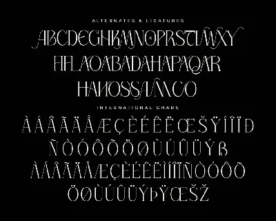 Thorco New Display Serif Font