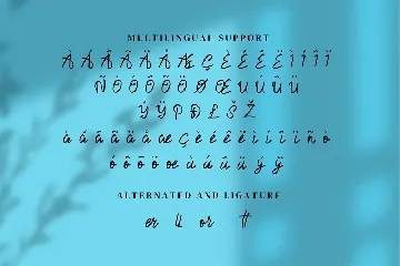 Desttinate - Modern Script fonts