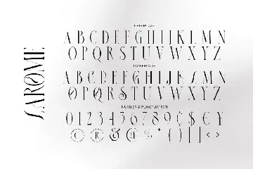 Larome - Unique Serif font