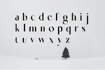 Wenssep - Modern Serif Font