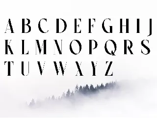 Wenssep - Modern Serif Font