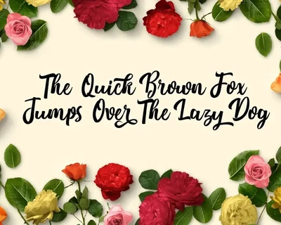 Nichole Script font