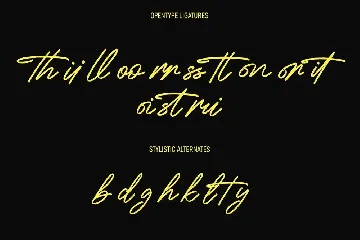 Cityskypes Signature Script Font