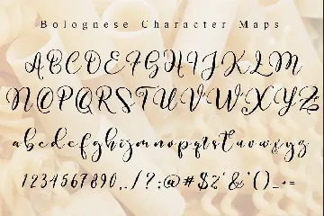 Bolognese // Tasty Script Font