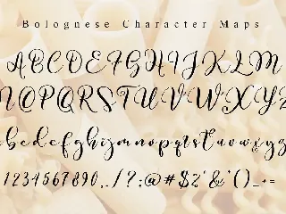 Bolognese // Tasty Script Font