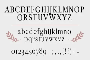 Aventure| graceful serif font