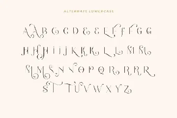 Romantic Serif font