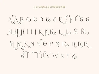Romantic Serif font