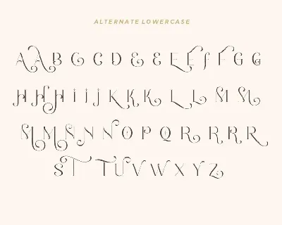 Romantic Serif font