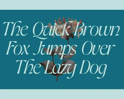 Alter Quick font