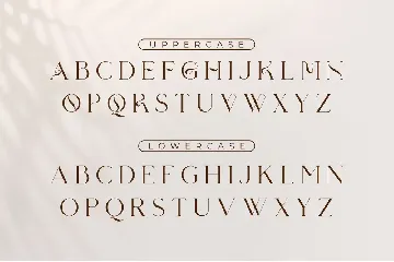 Varesha All Caps Serif Font