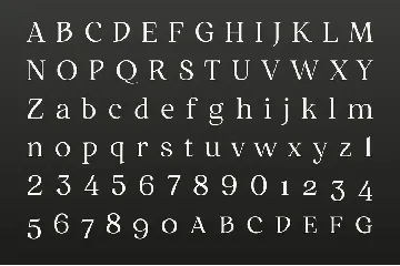 Restora Neue Bold font