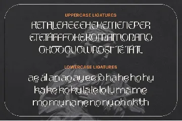Round Saetan Typeface font