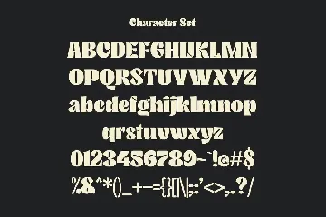 Bhank Serif Experimental Font