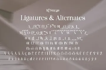 La Gateau - Elegant & Stylish Typeface font