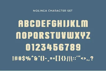 Molinga - Modern Display Sans Serif font