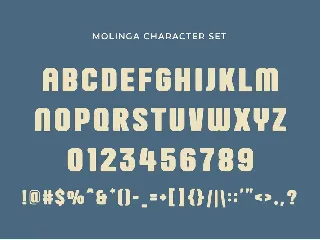 Molinga - Modern Display Sans Serif font
