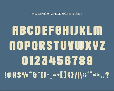 Molinga - Modern Display Sans Serif font