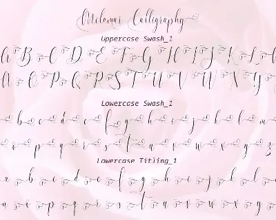 Melamar - Romantic Calligraphy Font