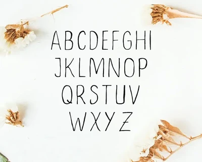 Ceica Handwritten Duo Font