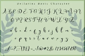 Bellarina // Wedding Font