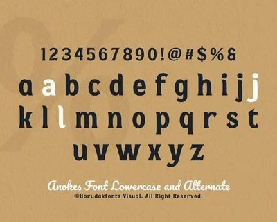 Anokes - Bold Serif Displat Font