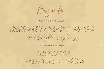 Barsanda  Script Font