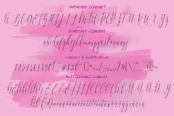 Charlotte Calligraphy font