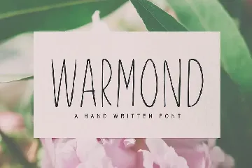 Warmond Sans Serif Font