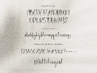 Silentsky Script Font