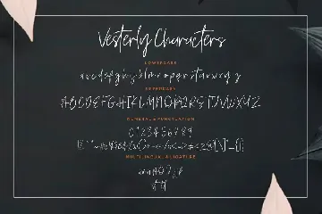 Vesterly Signature Wedding Font