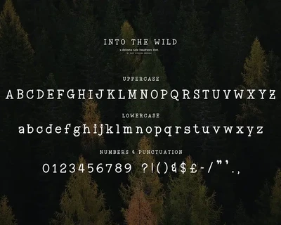 Into the Wild Font