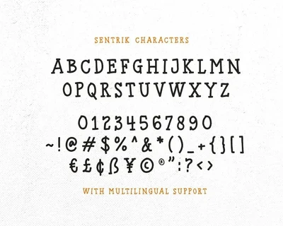 Sentra Display font
