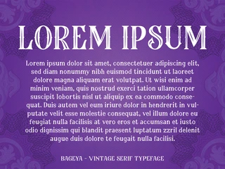 Bageya - Vintage Serif Typeface font