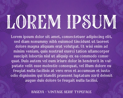 Bageya - Vintage Serif Typeface font
