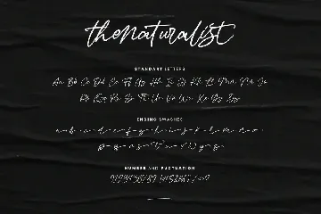 Thenaturalist Caligraphy Wedding Font