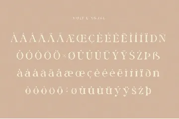 Rolaxs font