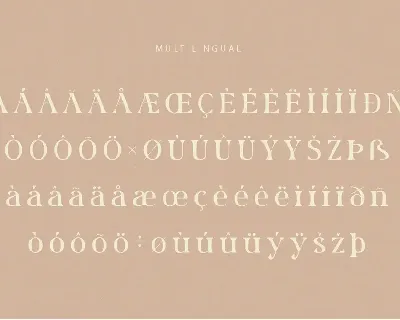 Rolaxs font