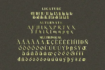 Raflink font