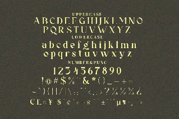 Raflink font